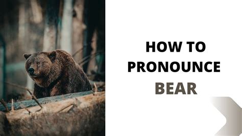 how to pronounce bear